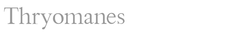 Thryromanes