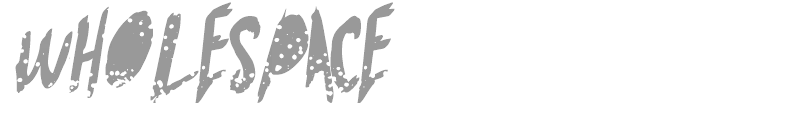 Whole Space