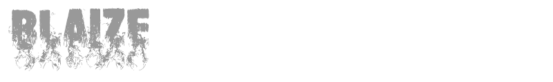 Blaize