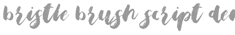 Bristle Brush Script
