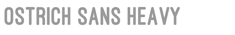 Ostrich Sans Heavy