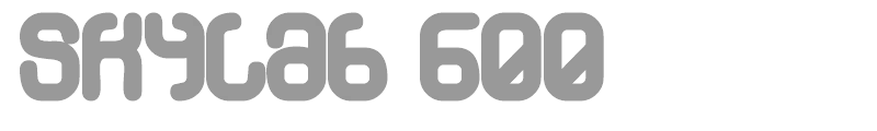 Skylab 600