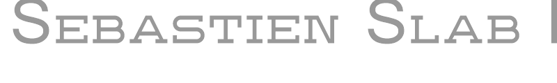 Sebastien Slab