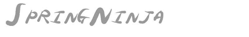 Spring Ninja