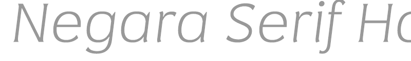 Negara Serif