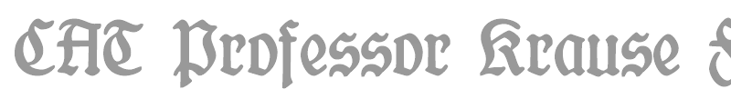 CAT Professor Krause Fraktur