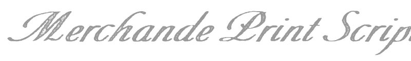 Merchande Print Script