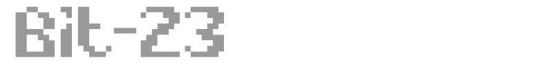 Bit-23