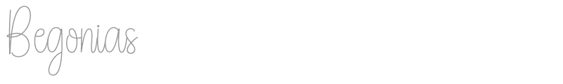 Begonias