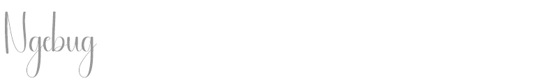 Ngebug