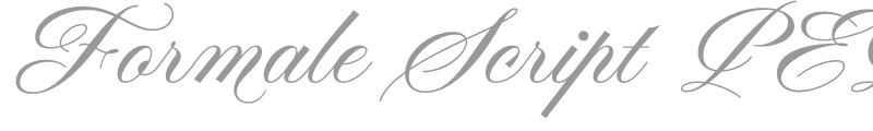 Formale Script